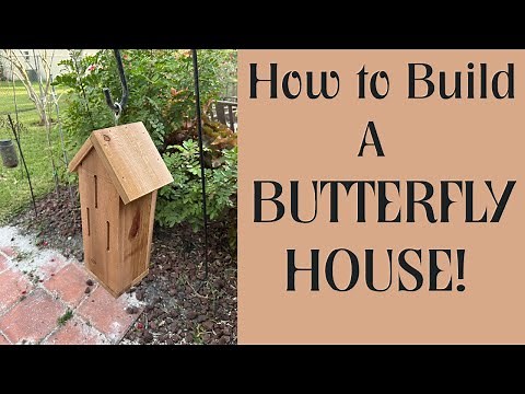 How to Build a Butterfly House