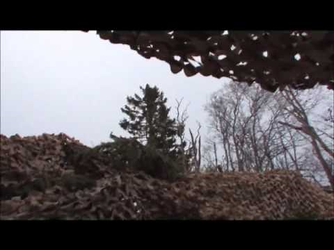 Crow hunting with Nordik Crow call