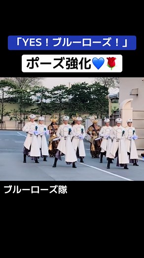 足閉じるポーズに進化してた！ブルーローズ隊「YES！ブルーローズ！」💙🌹 （9/7・9/21撮影）#usj #hhn #ユニバ #ハロウィン #ホラーナイト2024 #ado #ブルーローズ #トチャ