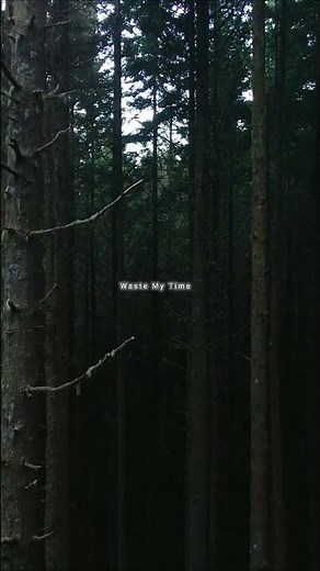 Deep Chills - Run Free (feat. IVIE)||what's app lyrics status||English song lyrics status||