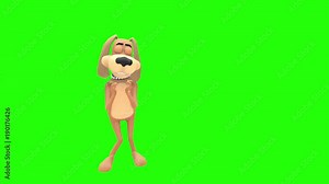 Scared nervous frightened fearful animated cartoon dog hound canine pooch mutt character stands shaking then ducks down and hugs himself with arms multiple times in front of green screen background Stock Video
