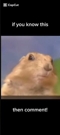 Dramatic chipmunk!!!