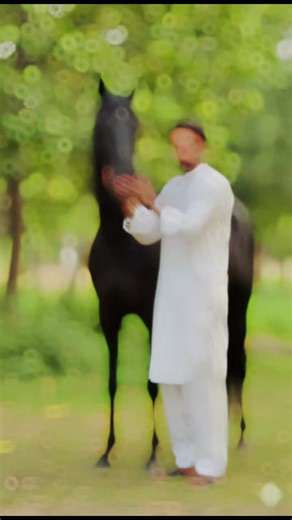 Malik.adnan (@malik.adnan7350)’s videos with original sound - ᴺᵒᵐⁱ𝐏𝐡𝐨𝐭𝐨 𝐠𝐫𝐚𝐩𝐡𝐲📷