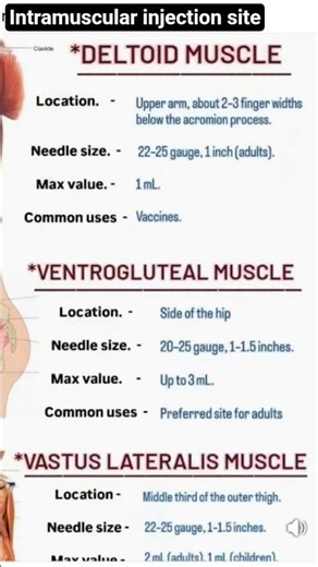 Intramuscular injection site 💉🩺 @nursingwallahl1303