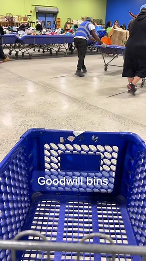 Goodwill Outlet Store Bins Experience