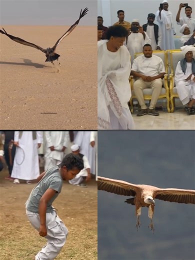 Kushite Culture: Nature & Ancient Beliefs