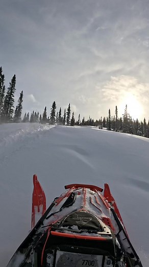 Royal Distributing on TikTok