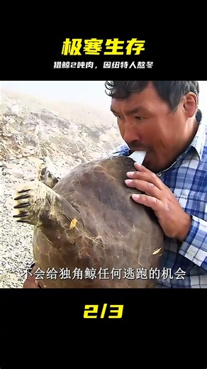 因紐特人設計捕獵獨角鯨，接近2噸的鯨肉可以讓他們熬過寒冬 #因纽特人，独角鲸，极寒，捕猎，生存