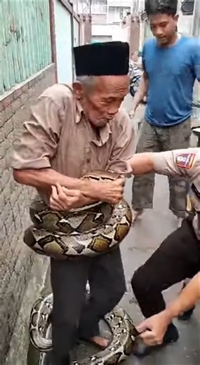 TEREKAM KAMERA ‼️😱 Kakek Di Lilit Ular SANCA #viral #shorts #short #tranding