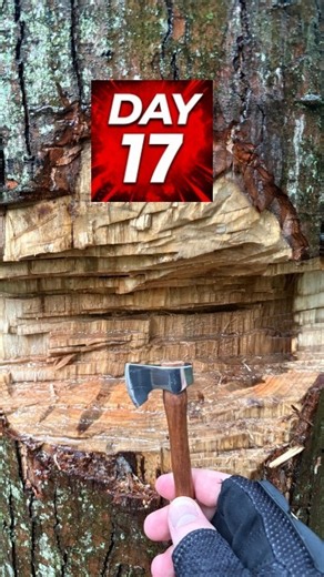 Day 17. Help is Appreciated! :) #woodcutting #challenges #spoontobunker