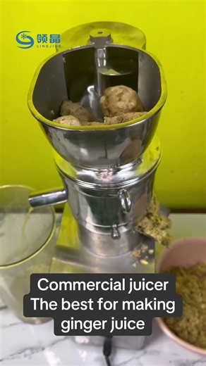 Commercial Juicer – Full Stainless Steel, Ideal for Ginger