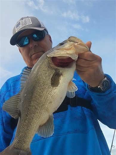 Bass Fishing #tampabayflorida #videosdepesca #tarponsprings #bassfishing