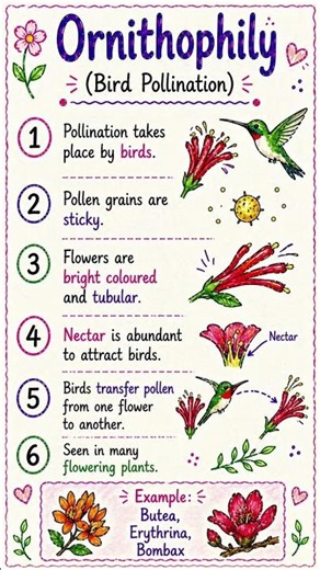2nd PUC first chapter sexual reproduction in flowering plant (ornithophily)