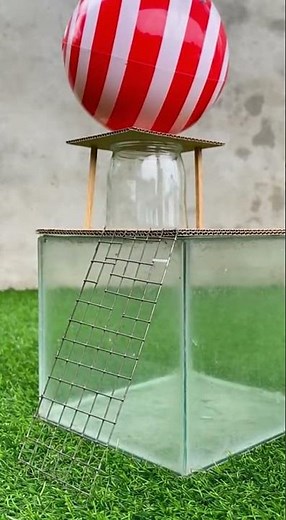 Best mouse trap ideas easy mouse trap from simple hacks that really work