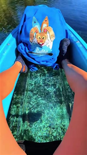 Looking for something awesome to do this spring?? This is a MUST-DO! 🛶 Book a glass-bottom kayak tour with us and experience crystal-clear springs, manatees, alligators, turtles, monkeys, and so much more! WetRabbitKayaks.com #florida #springbreak #nature #wildlife #floridasprings