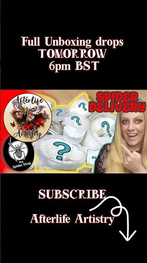 The Spider Shop Mystery Box Unboxing Tease! 🕷️