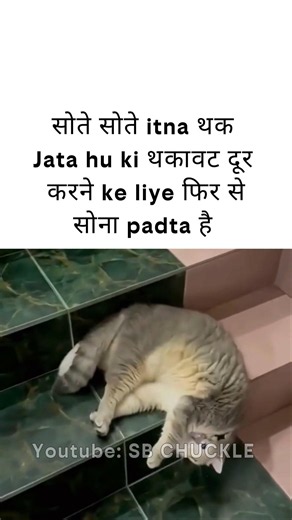 Sote sote 🤡 #memes #comedy #funny #viral#shorts#video#viralvideo #cat#catsmemes #explore #shorts