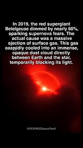 In late 2019, Betelgeuse, the red supergiant on the shoulder of Orion, did something terrifying. It began to dim. Normally, Betelgeuse is the 10th brightest star in the night sky. But over a few months, it dropped to about 35% of its usual brightness, falling out of the top 20. It was the faintest it had been in over a century of observations. The astronomy community went wild. Many speculated that the star was about to go supernova. When a massive star runs out of fuel, it can collapse and expl