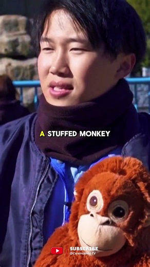 Story of Punch | Monkey Thought a Toy Was His Mom 🐒❤️ #PunchMonkey #ViralStory #Emotional