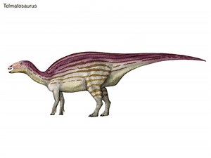 Telmatosaurus - Alchetron, The Free Social Encyclopedia