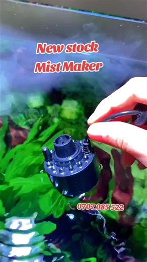 Aqua Paradise on Instagram: "Creates a cool fog effect that enhances ambiance while maintaining moisture for aquariums, ponds, and décor setups. 📍 Aqua Paradise, Diamond Plaza 2 – Ground Floor 📞 0707 085 522 #MistMaker #WaterFeatures #AquariumVibesEA #NairobiTrending #HomeDecor"