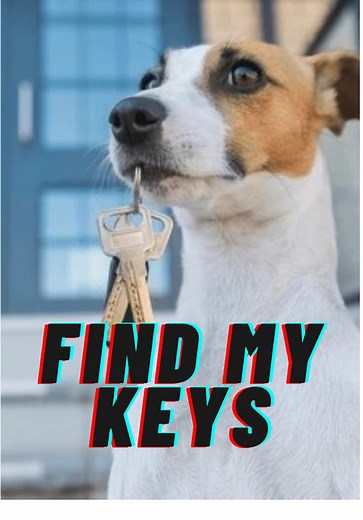 Train Your Dog to Find Lost Keys with Simple Steps