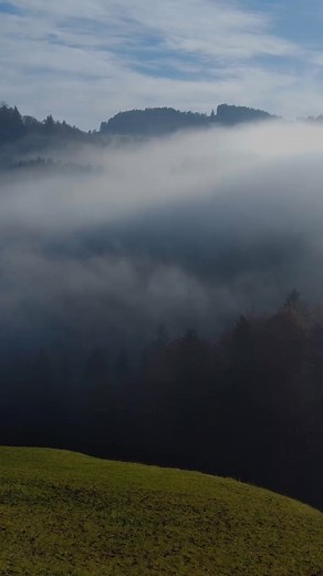 Finding help for debts can be overwhelming, especially for someone who’s never been affected. Many people don’t even know where to start. Sometimes the best thing to do is hit “pause.” People may find that the answers become clear after taking a little time-out, focusing on what matters most, and feeling confident to take the next step. | Missouri Debt Relief