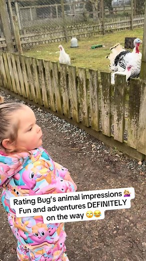 Bug’s Day at the Animal Farm! 🐮🐷🐔 After watching Maddie Triggs on @CBeebies Bug couldn’t stop talk | Itsa buglife