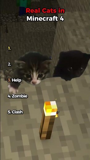 Real Cats in Minecraft 4 🐱⛏️