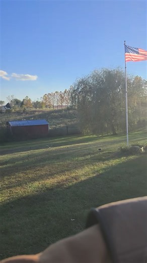 Training my red-tailed hawk on a tether rope before letting free fly. #falconry #birds #redtailhawk #beautiful #outdoors | Proactive Pursuit