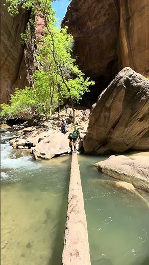 Hiking Through Water – Zion Narrows Experience 🚶 #hiking