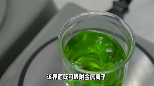 冰合试剂科普丨DBCO-Salvianolic acid C、二苯并环辛炔-丹酚酸 C、DBCO-丹酚酸 C、DBCO修饰丹酚酸 C、生物素-丹酚酸 C、荧光素