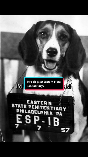 Eastern State Penitentiary on TikTok