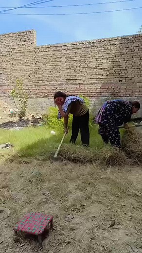 Outdoor Manual Labor: Raking and Digging Techniques