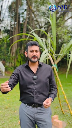 இனிய பொங்கல் வாழ்த்துகள்! பொங்கும் மங்களம் எங்கும் தங்குக. Let us celebrate Pongal with gratitude for everyone who uplifts our lives, especially the farmers who nourish the nation. May this auspicious festival fill us with fresh energy, determination and the spirit to move forward. As the Ponggal milk overflows with abundance, may the hopes and aspirations of our students and the Indian community overflow and be realised! #SriMuruganCentre #ThambirajahTantra #OttrumaiNamBalam #MunnettramNamUrima