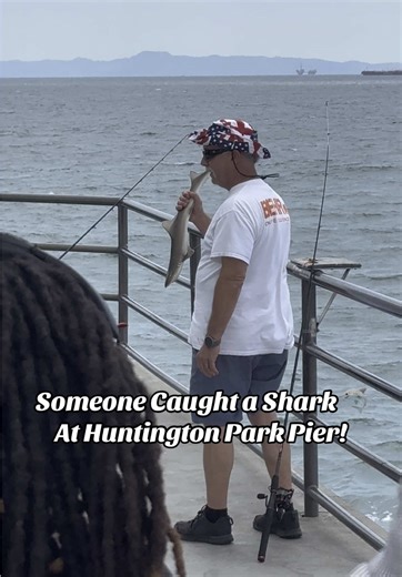 Someone Caught a Shark at Huntington Beach Pier 🦈 😮 #fishing #huntingtonbeach #shark #adventurezwithdavid #sharktok