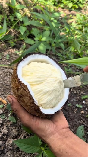 Coconut puff 😍😍 #asmr #fruits | Wak Le