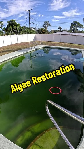 Algae Restoration: Transforming Your Pool One Step at a Time