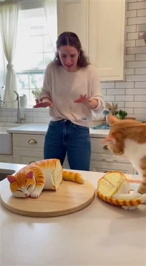 Real Cat Tries to Protect Cake Cat | Viral Home Video