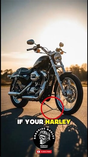 The Harley Frame Crack Nobody Checks
