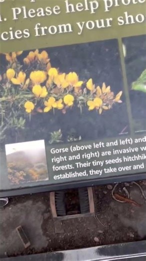 We Explored a Real-Life Volcano