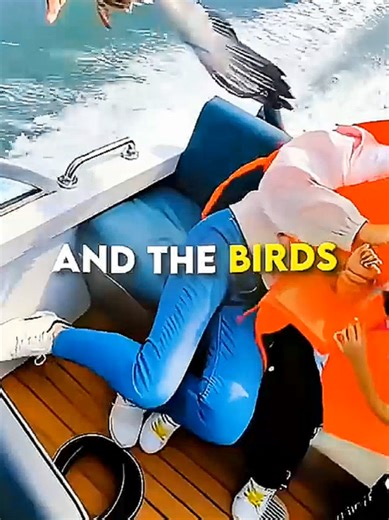 Birds Find Help in the Store: Amazing Moments