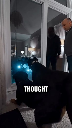 Guard Dog SAVED The House | Magnifico