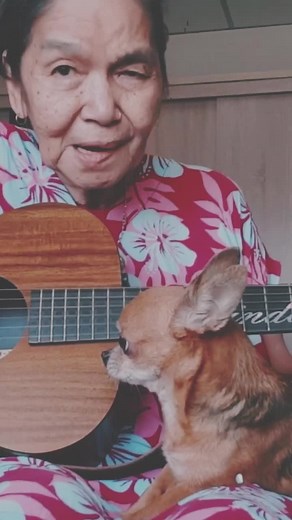 Country Roads❤️ #johndenver #countryroad #cover #nicesong #fyp #fypシ Cc: Malinda Herman Official