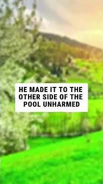 LAUGH OUT LOUD with These Hilarious Jokes! #laugher