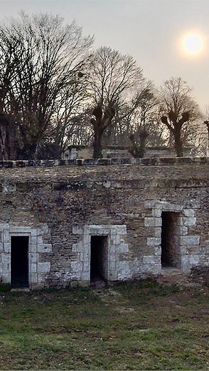 13K views · 136 reactions |  Before & After The restoration of the basse-cour terrace wall!  Avant et après La restauration du mur de la terrasse de la basse-cour !  @skydiohq | Château de Purnon | Facebook