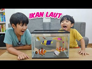 Ziyan dan Kyo Beli Ikan Laut