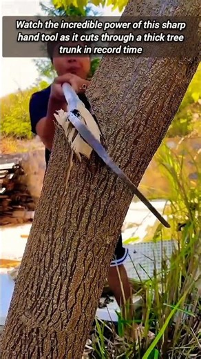 Amazing Hand Tool Cuts Through Thick Trees Effortlessly