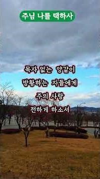 #주님나를택하사 #ccm #복음성가 #찬송가 #찬양 #복음 #shorts