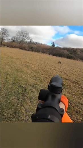 “Wild Hog Hunting Texas | You Won’t Believe This Shot!” 😱 #hunting #chasse #deer #chasse #caccia